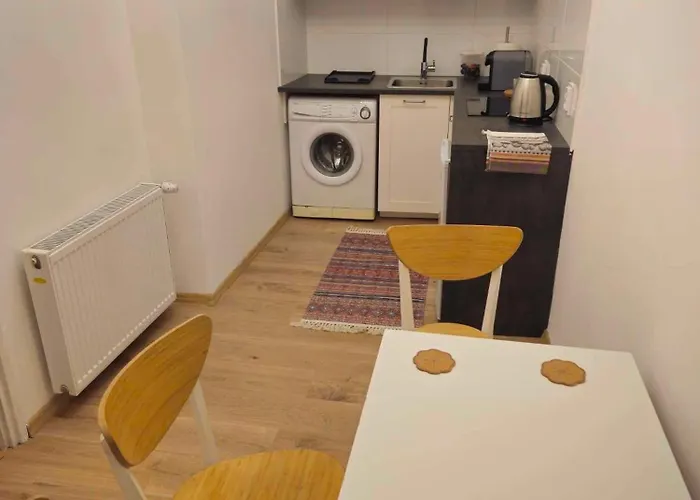 公寓 Nikodem In Old Town - Center 克拉科夫