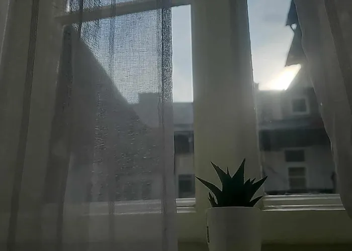 Nikodem In Old Town - Center 公寓 *